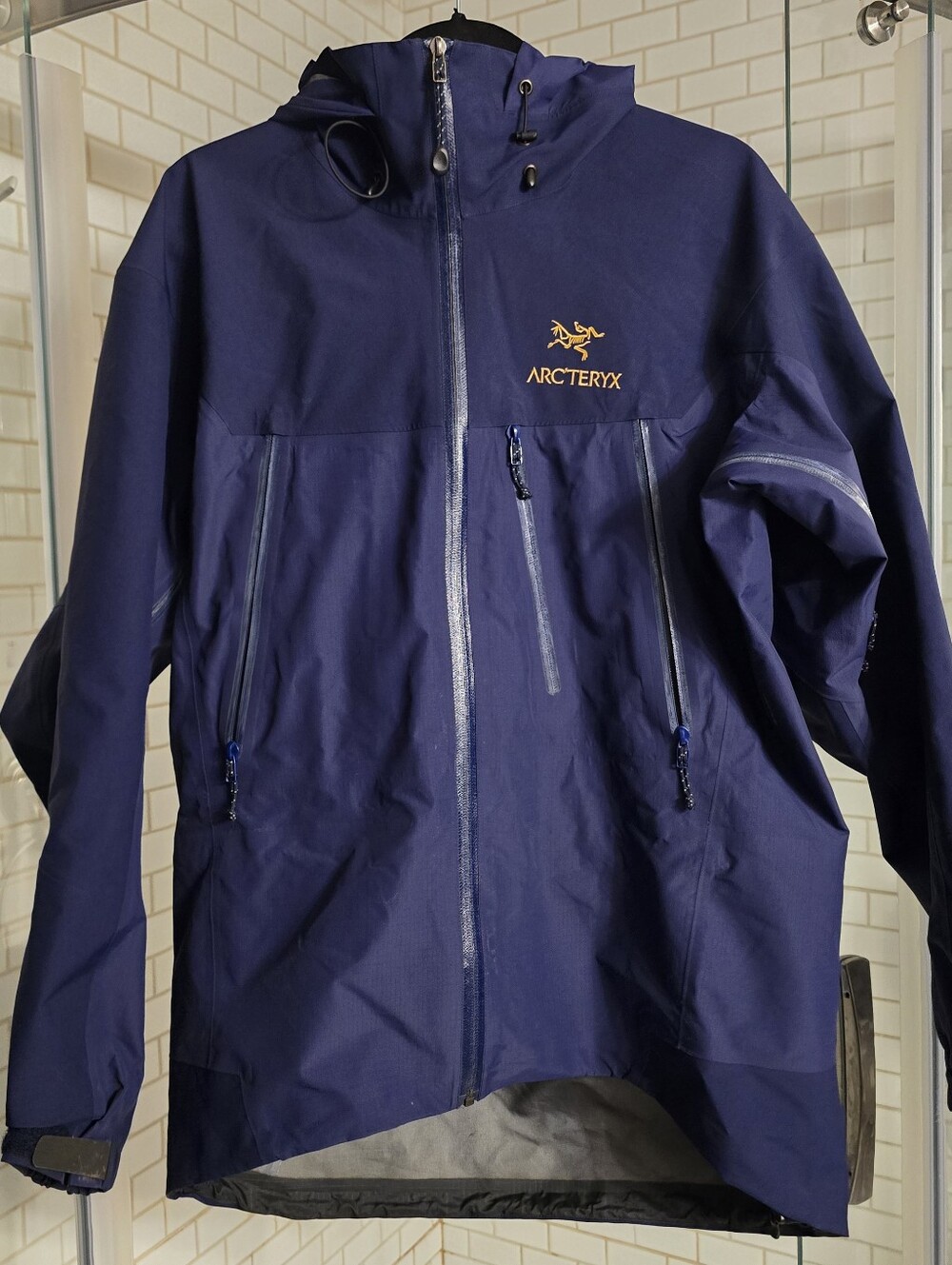 Arc Teryx Theta Ar Jacket 90s 24K Gold Thorn Indigo Gore-Tex